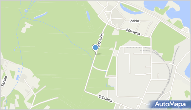 Wieliszew, 600-lecia, mapa Wieliszew