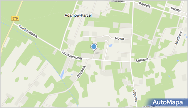 Adamów-Parcel, Adamów-Parcel, mapa Adamów-Parcel