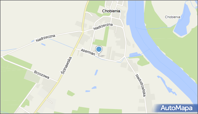 Chobienia, Akerman Stefanii, mapa Chobienia