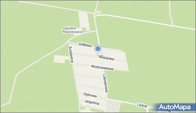 Tartak Brzózki, Akacjowa, mapa Tartak Brzózki