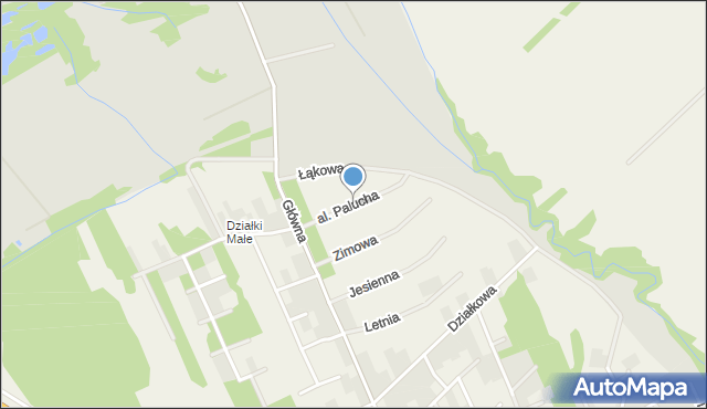 Działki gmina Wiskitki, Aleja Palucha Tadeusza, mapa Działki gmina Wiskitki