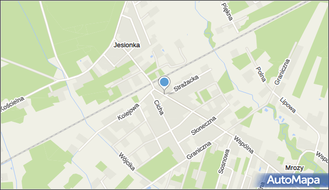 Jesionka gmina Wiskitki, Aleja Partyzantów, mapa Jesionka gmina Wiskitki