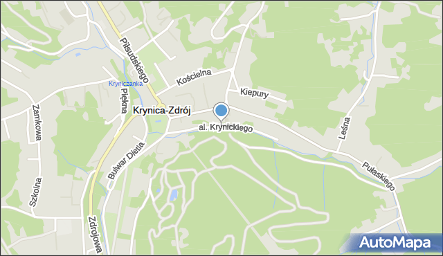 Krynica-Zdrój, Aleja Krynickiego Nikifora, mapa Krynica-Zdrój