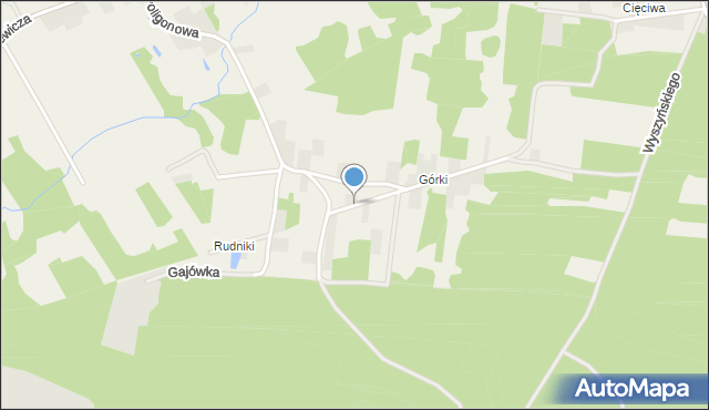 Leśniakowizna, Aleja Dębów, mapa Leśniakowizna