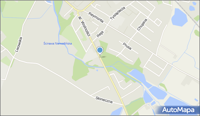 Niemodlin, Aleja Wolności, mapa Niemodlin