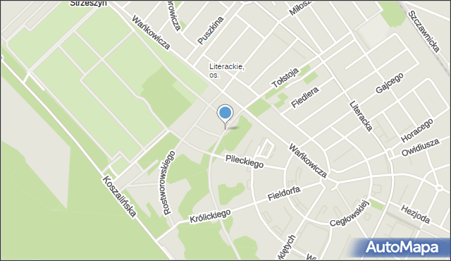 Poznań, Aleja Piwnika Jana, mapa Poznania