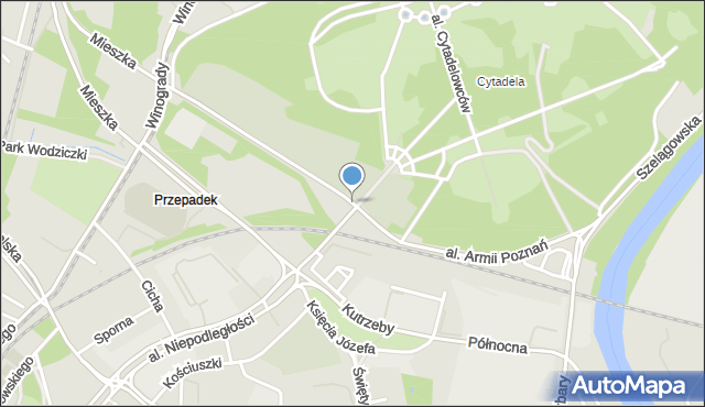 Poznań, Aleja Armii Poznań, mapa Poznania