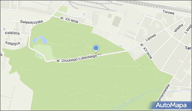 Teresin powiat sochaczewski, Aleja Druckiego-Lubeckiego, ks., mapa Teresin powiat sochaczewski