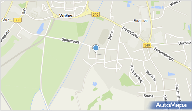 Wołów, Andersa Władysława, gen., mapa Wołów