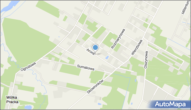 Baszkówka, Aronii, mapa Baszkówka