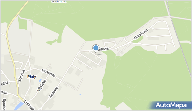Płoty gmina Czerwieńsk, Aroniowa, mapa Płoty gmina Czerwieńsk