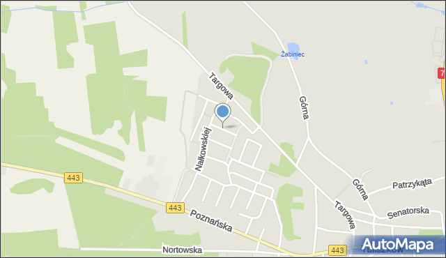 Tuliszków, Asnyka Adama, mapa Tuliszków