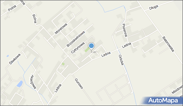 Dąbrowa gmina Dopiewo, Bananowa, mapa Dąbrowa gmina Dopiewo