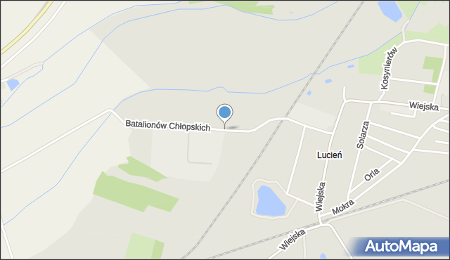 Oleśnica, Batalionów Chłopskich, mapa Oleśnica