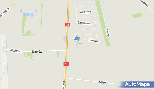 Rychwał, Bazyliowa, mapa Rychwał