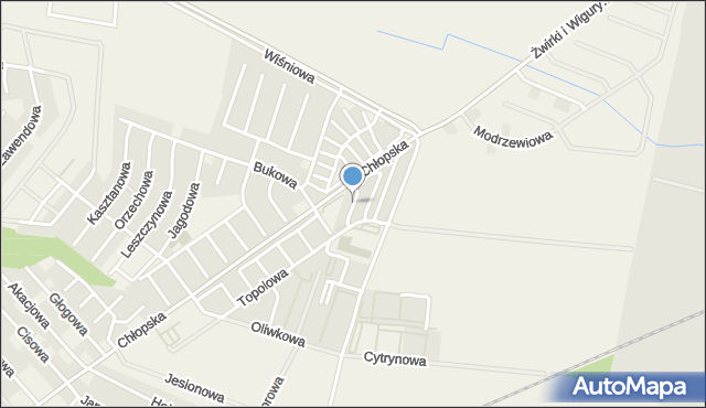 Smolec, Bazaltowa, mapa Smolec