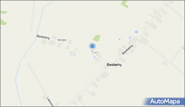 Bestwiny, Bestwiny, mapa Bestwiny
