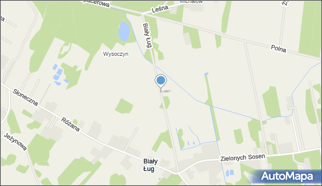 Biały Ług gmina Prażmów, Biały Ług, mapa Biały Ług gmina Prażmów
