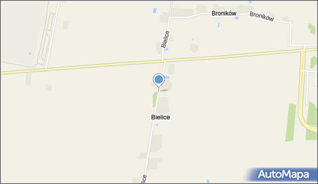 Bielice gmina Piątek, Bielice, mapa Bielice gmina Piątek