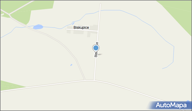 Biskupice gmina Wołów, Biskupice, mapa Biskupice gmina Wołów