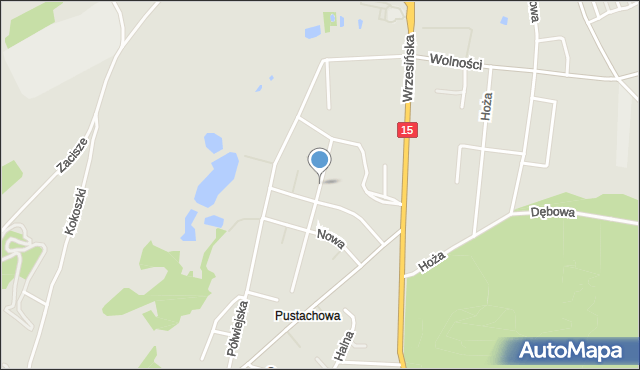 Gniezno, Biała, mapa Gniezna