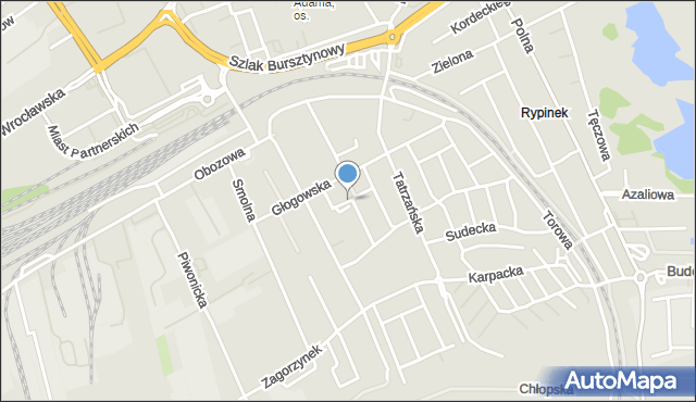 Kalisz, Bieszczadzka, mapa Kalisza