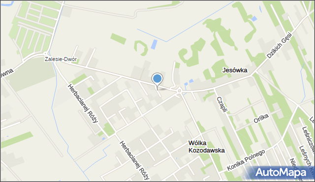 Wólka Kozodawska, Białej Róży, mapa Wólka Kozodawska