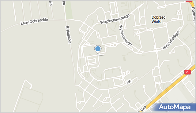 Kalisz, Blizińskiego Wacława, ks., mapa Kalisza