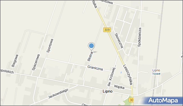 Lipno powiat leszczyński, Błotna, mapa Lipno powiat leszczyński