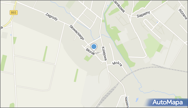 Oleszyce, Błonie, mapa Oleszyce