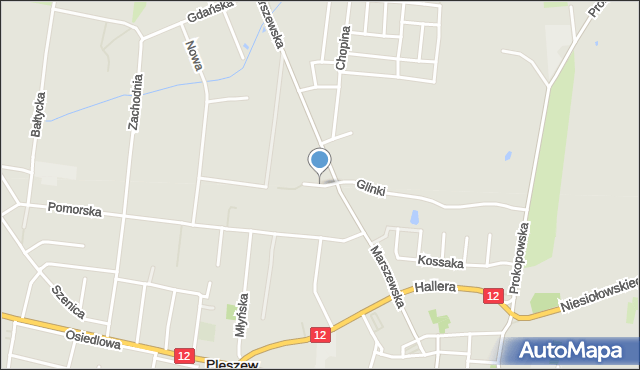 Pleszew, Błotna, mapa Pleszew