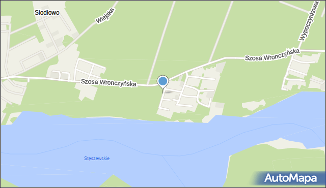 Stęszewko, Bluszczowa, mapa Stęszewko