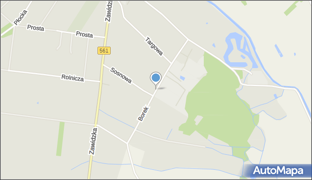 Bieżuń, Borek, mapa Bieżuń