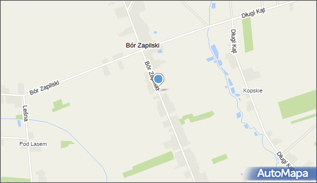 Bór Zapilski, Bór Zapilski, mapa Bór Zapilski