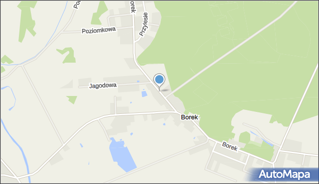 Borek gmina Głogów, Borek, mapa Borek gmina Głogów