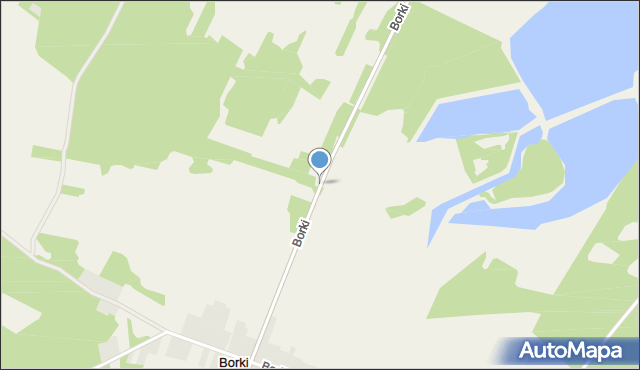 Borki gmina Masłowice, Borki, mapa Borki gmina Masłowice