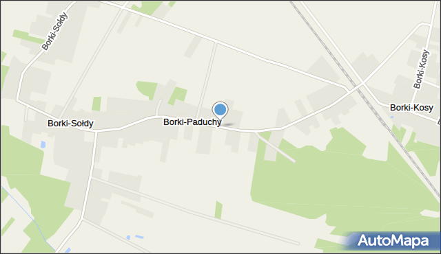 Borki-Paduchy, Borki-Paduchy, mapa Borki-Paduchy