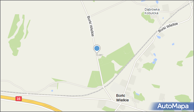 Borki Wielkie gmina Biskupiec, Borki Wielkie, mapa Borki Wielkie gmina Biskupiec