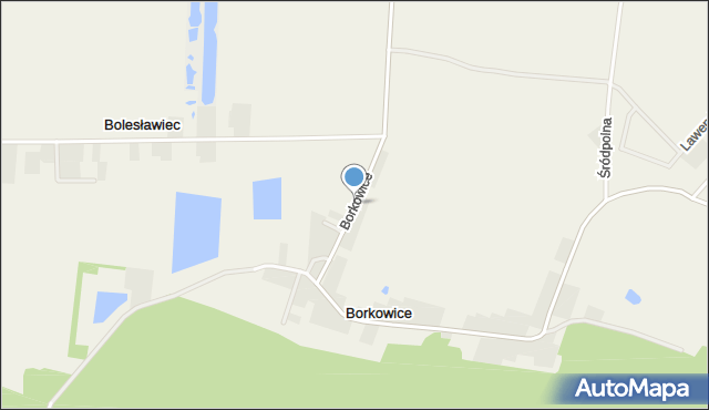 Borkowice gmina Mosina, Borkowice, mapa Borkowice gmina Mosina