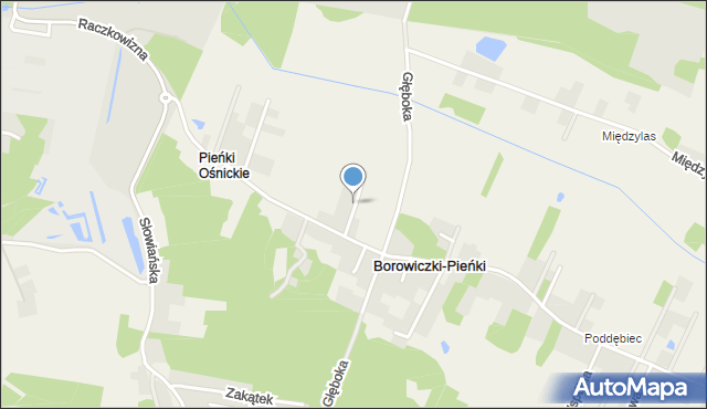 Borowiczki-Pieńki, Boczna, mapa Borowiczki-Pieńki