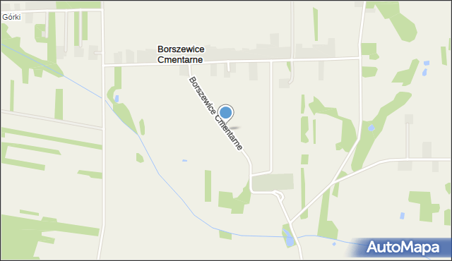 Borszewice Cmentarne, Borszewice Cmentarne, mapa Borszewice Cmentarne