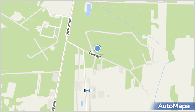 Borzęcin Duży, Borowa Droga, mapa Borzęcin Duży