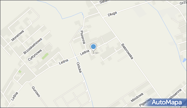 Dąbrowa gmina Dopiewo, Borówkowa, mapa Dąbrowa gmina Dopiewo