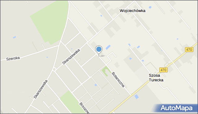 Kalisz, Botaniczna, mapa Kalisza