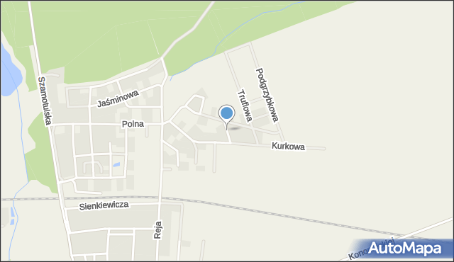 Kaźmierz, Borowikowa, mapa Kaźmierz