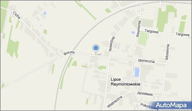 Lipce Reymontowskie, Boryny, mapa Lipce Reymontowskie