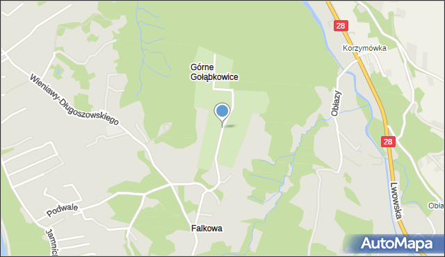 Nowy Sącz, Botaniczna, mapa Nowego Sącza