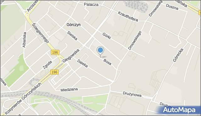 Poznań, Bosa, mapa Poznania