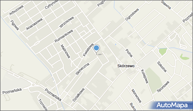 Skórzewo gmina Dopiewo, Botaniczna, mapa Skórzewo gmina Dopiewo