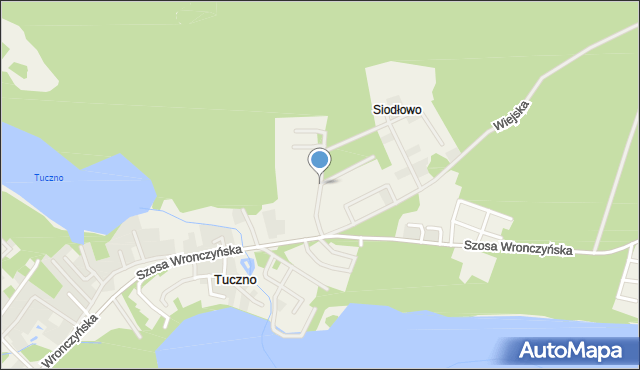 Stęszewko, Borowikowa, mapa Stęszewko